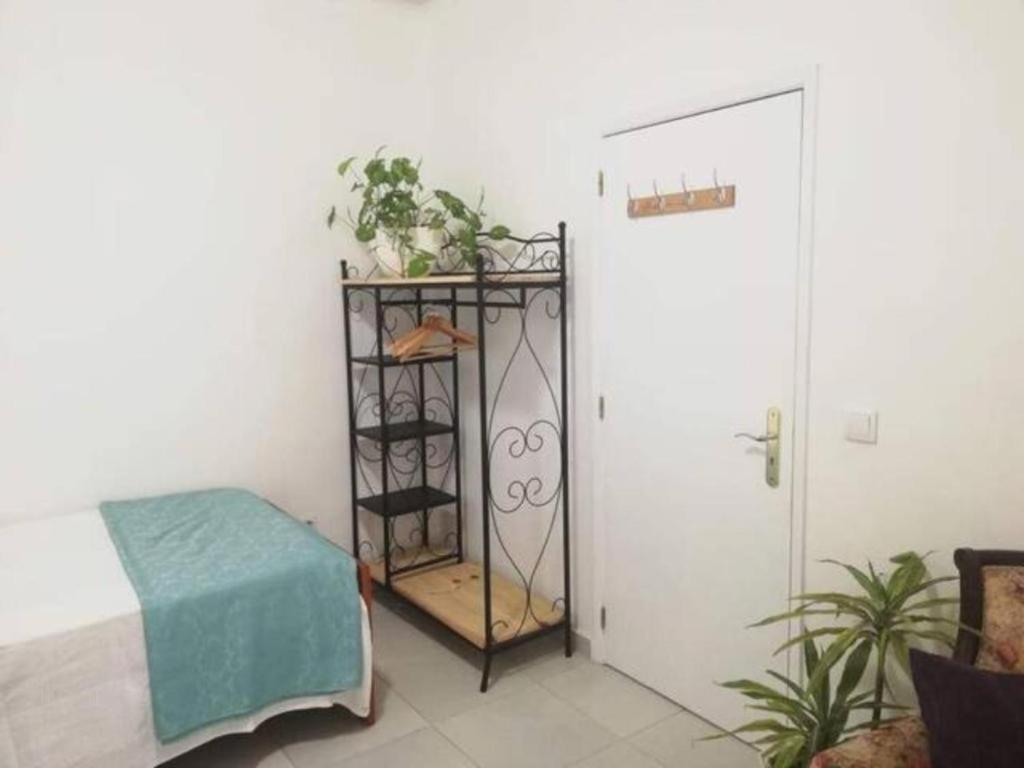 Home & Flower - Private Bedrooms Funchal Εξωτερικό φωτογραφία